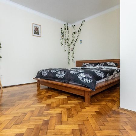 Supreme Deer Apartment Brasov Bagian luar foto