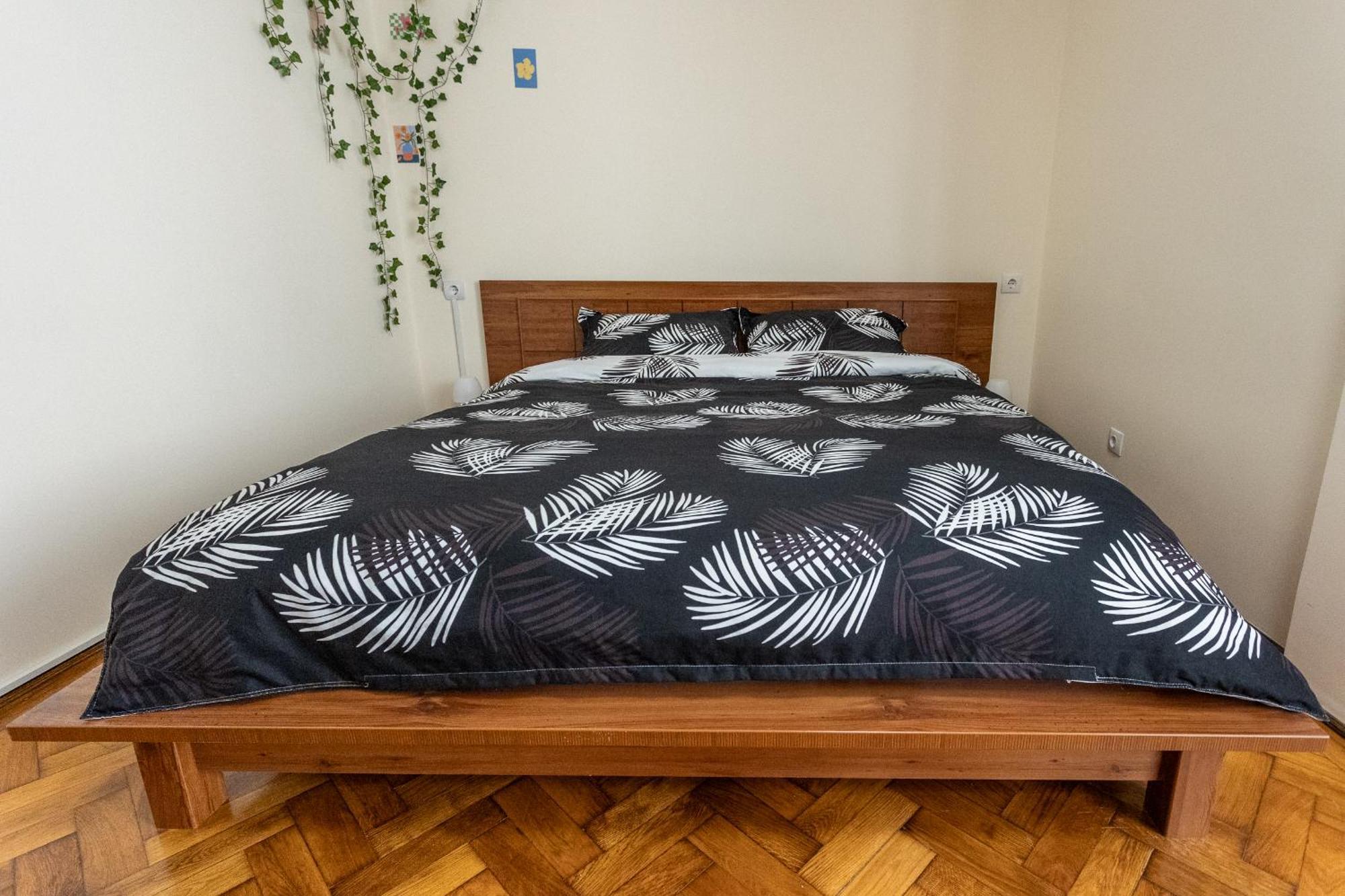 Supreme Deer Apartment Brasov Bagian luar foto
